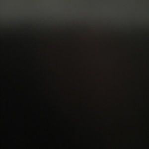 Meet your Posher, Donald